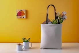 5 Websites for ordering groceries in India