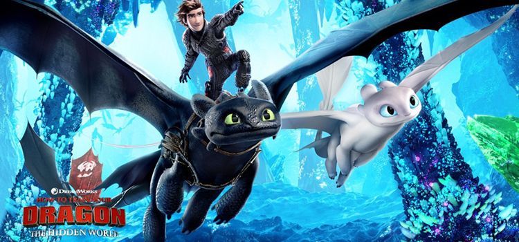 How to Train your Dragon2